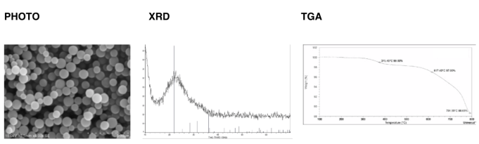 螢幕快照 2019-03-16 上午10.42.27